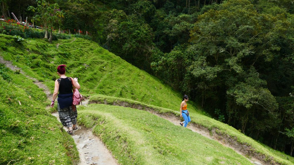 Colombia por libre en 18 días - Blogs de Colombia - Valle del Cócora y Salento (12)