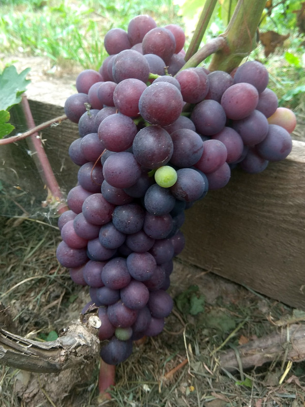 IMG_20220903_080013 Сеня