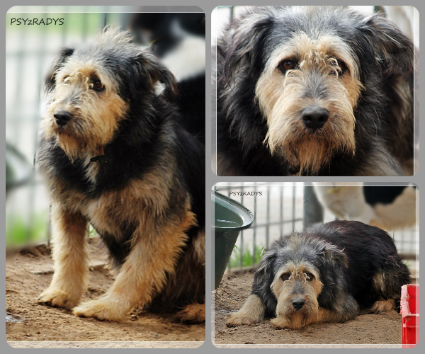 BeFunky-collage (18)