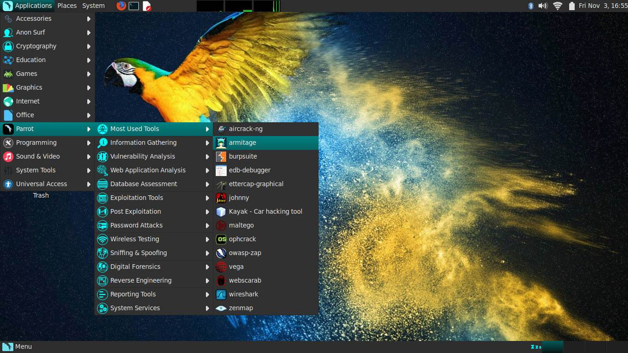 parrot1.jpg