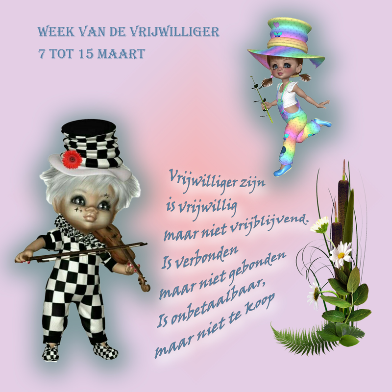 VRIJWILLIGERS