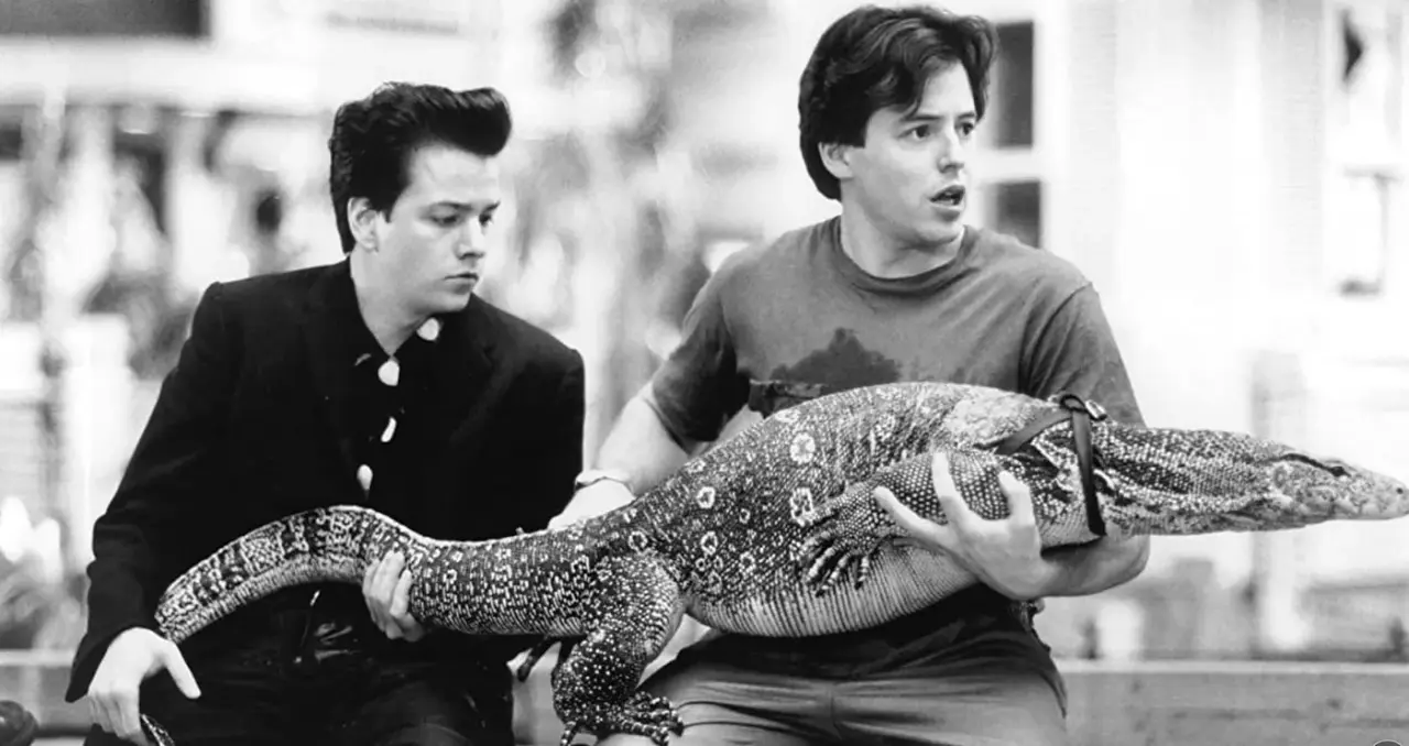 Komodo.webp