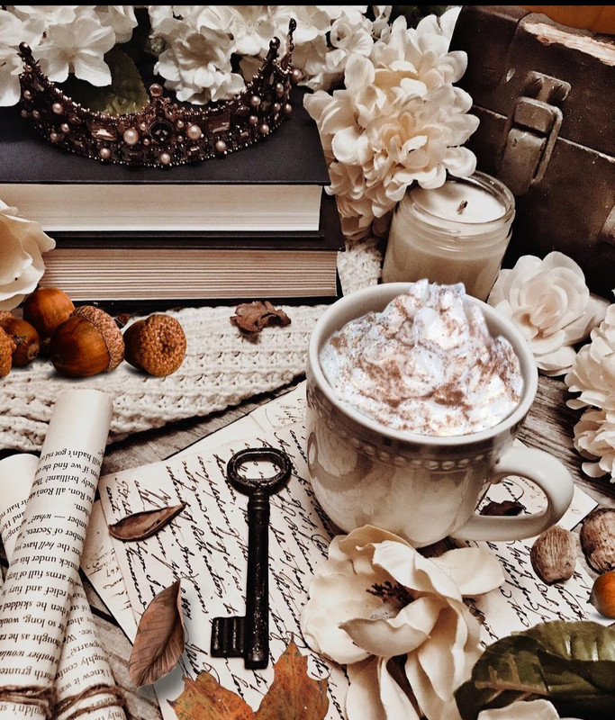 Screenshot_20231203_231047_Instagram