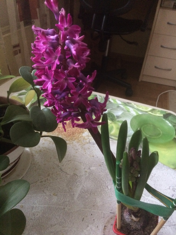 E27D8CBE-F2D2-4787-842F-7ECDF6B8A7AC