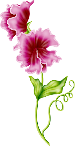 KBK_PrettyRabbit (50)