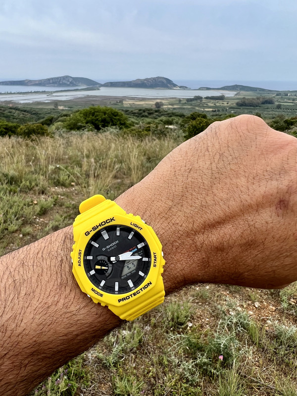 71F69AB8-1C21-4AAF-9C22-DCF0EACF4741