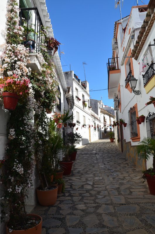 ESTEPONA-9-3-2017 - Málaga y sus pueblos-2009/2017 (89)