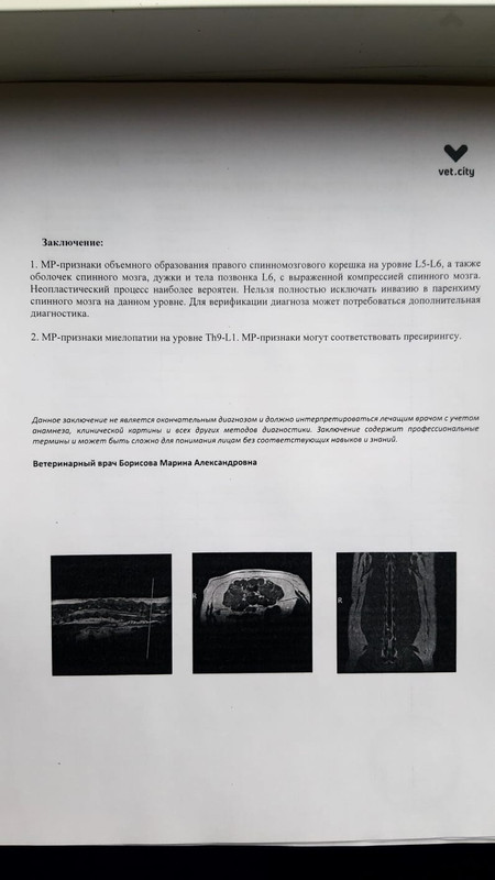 IMG-20240315-WA0002