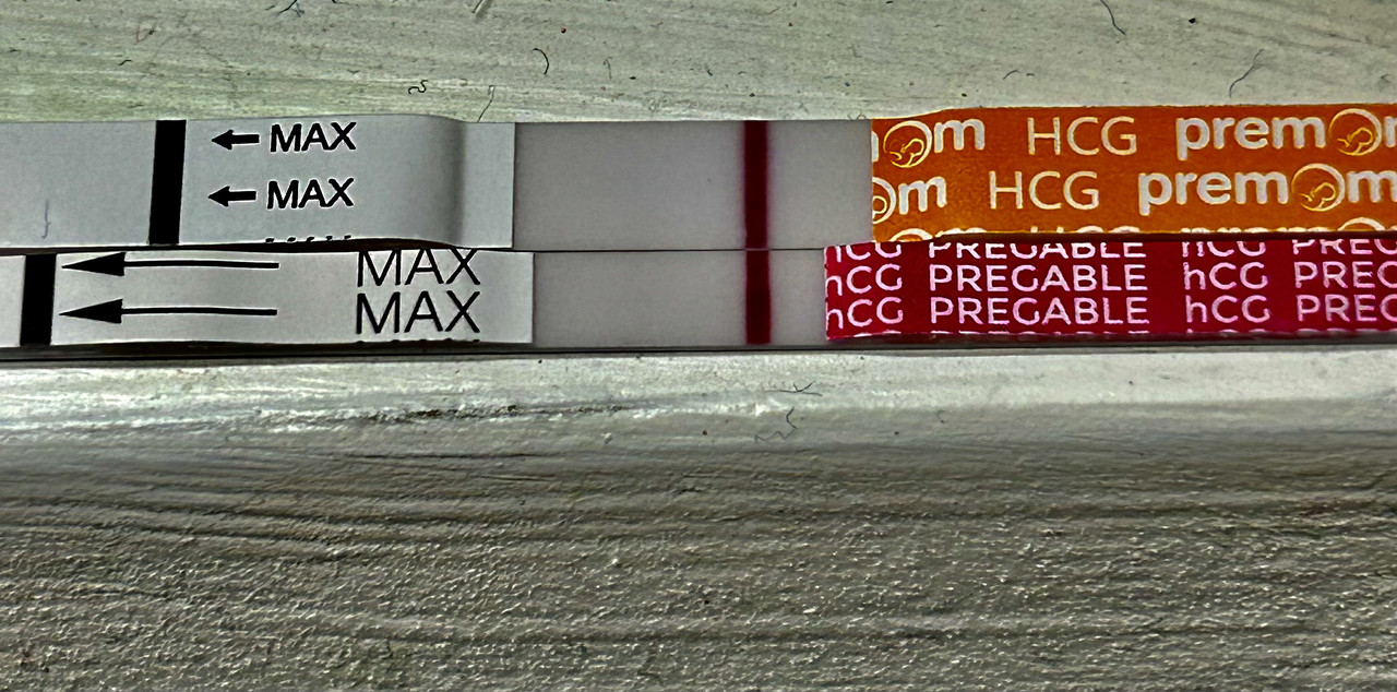 4816DA5B-7CFC-4142-8456-F201DD374305