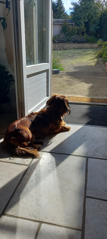 [Image: 20241011-153722.jpg]