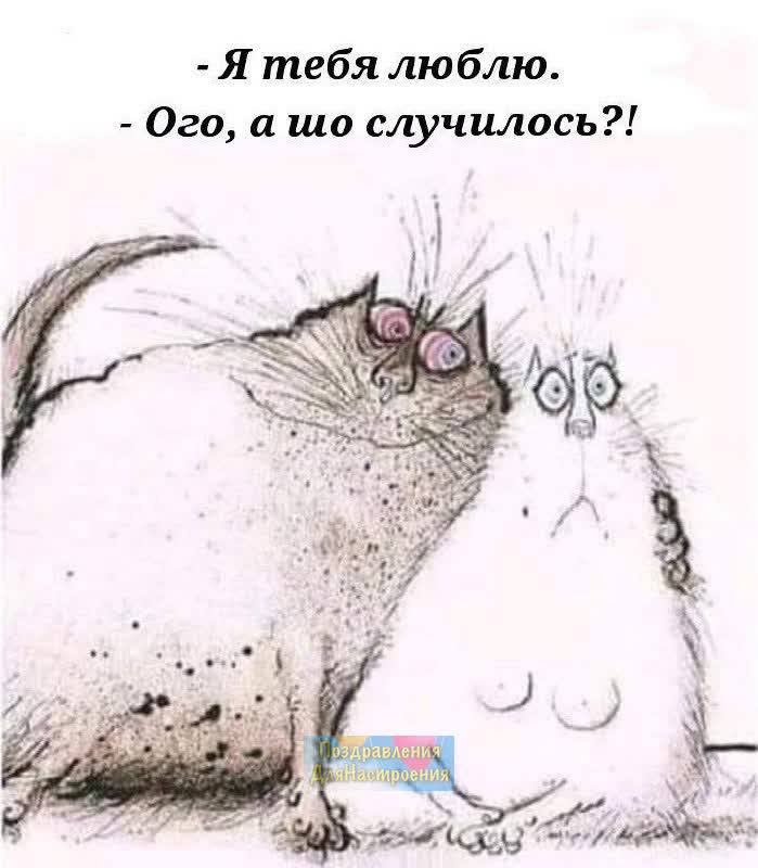 DAAFA826-D321-4366-A87C-1FDA5C3A5303