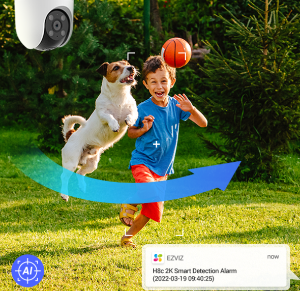 Roomba piantina casa