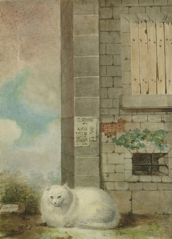 Lady Charlotte Schreiber - White Persian Cat - (MeisterDrucke-269814)