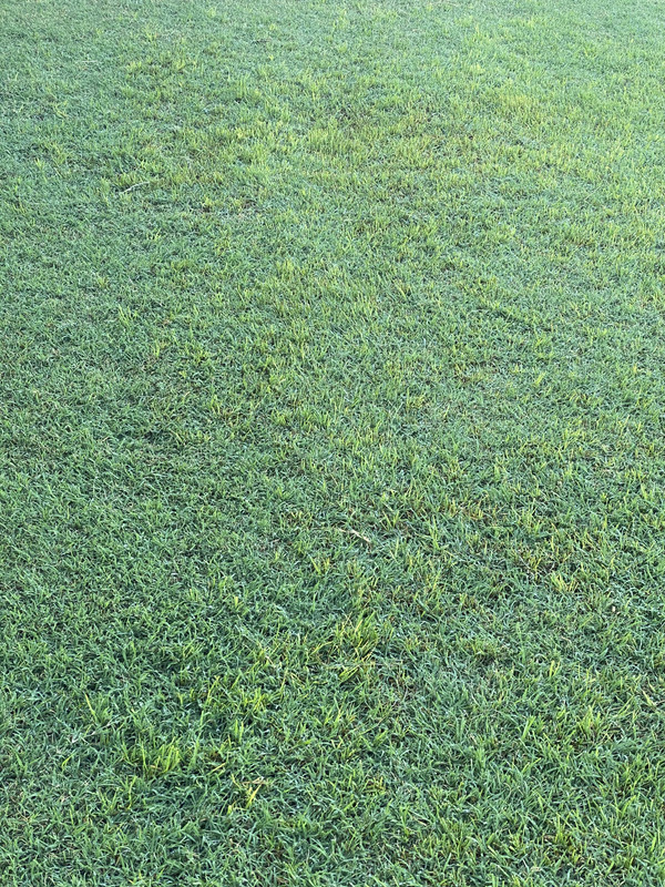 B6F3C1F2-8C37-464B-AC17-163E1EB9E93A