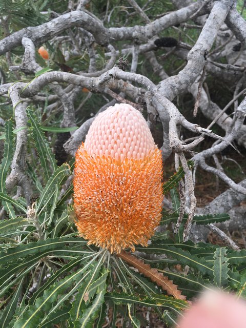 34ADF00D-073D-4E51-BBA0-C8B27EF2115A