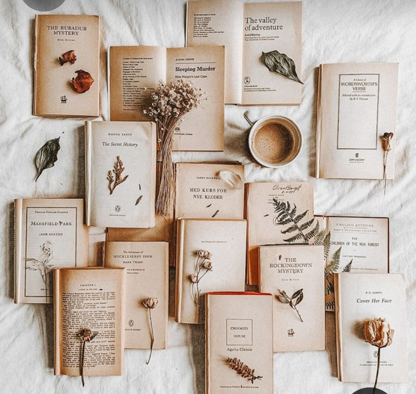 Screenshot_20230316_021928_Pinterest