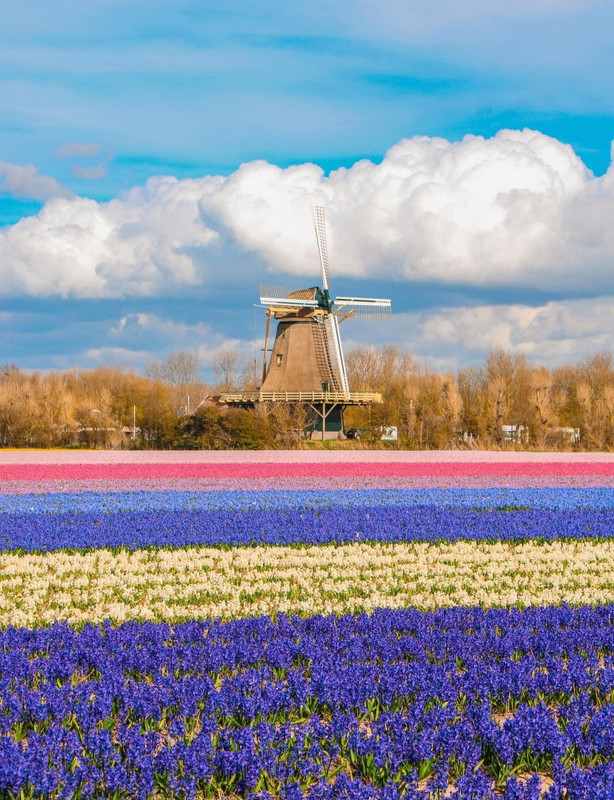 Screenshot_20240505_214034_Threads