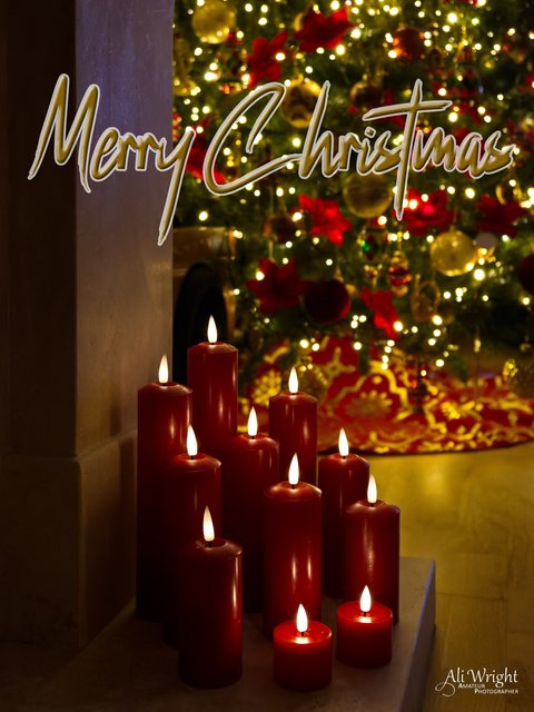 Christmas Card 2024_web