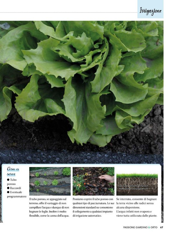 Pass Giar e Orto Apr 2026 (10)