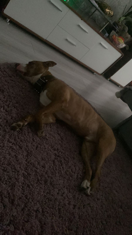 BAB0F7AF-8AC1-48E8-AF33-FE2C460470A4