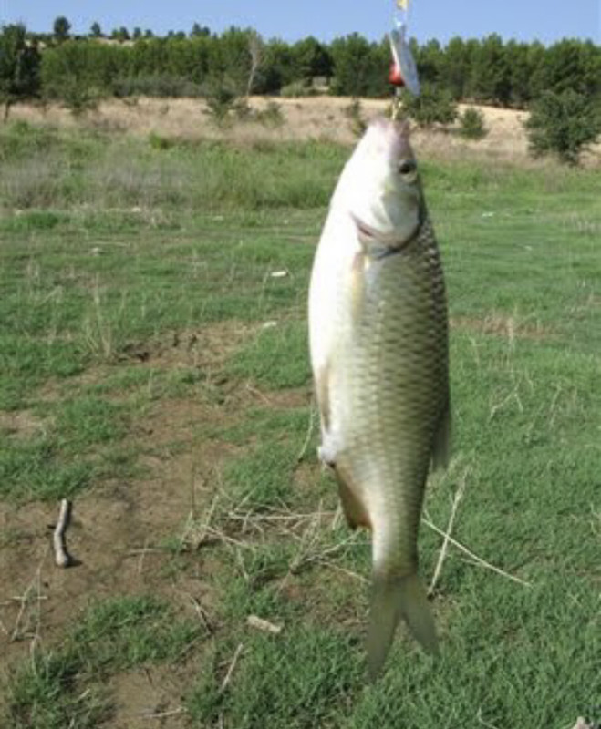 EF2CE78A-6D57-444F-8D7C-5BD6961CA38B