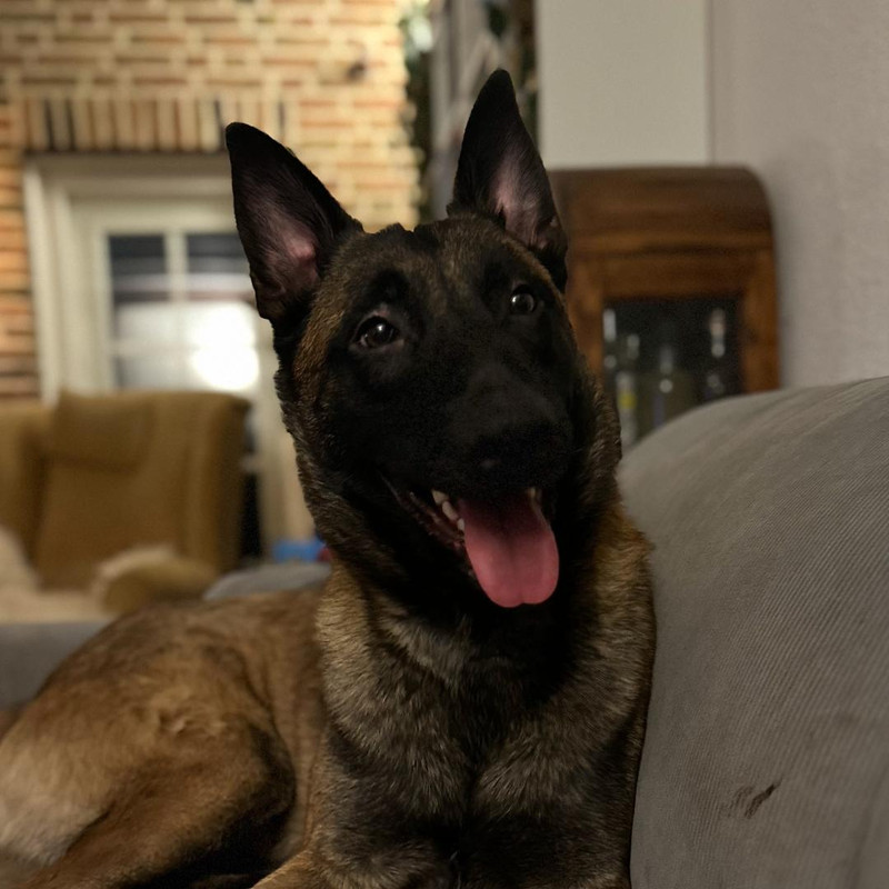 F3E25CBA A272 4888 A710 A7BC5E231571