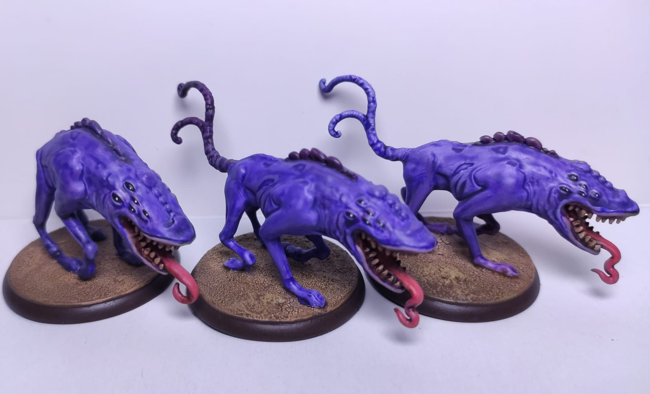 WhatsApp Image 2023-11-12 at 14.30.45(1)