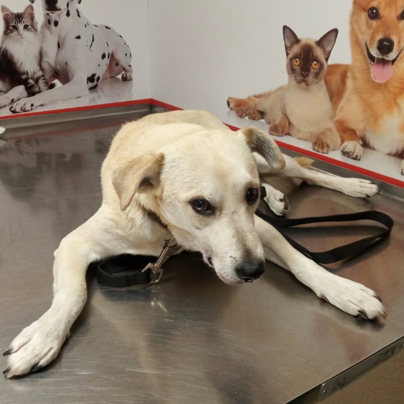 5FAED215-1215-4249-9E62-E2C5DADE1465