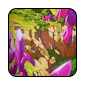 focal-point-VII1.png
