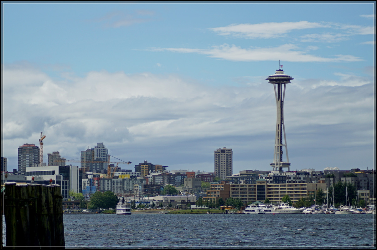 DSC00382-d.jpg