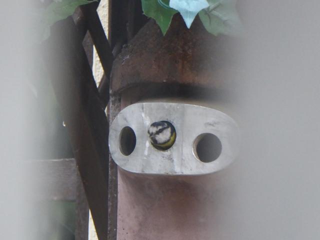 954BB08E-2A91-49C9-996C-9136D1CAF3D8