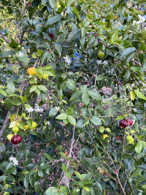 5066CAA6-9DA5-4EB8-A440-0647E865FE9D