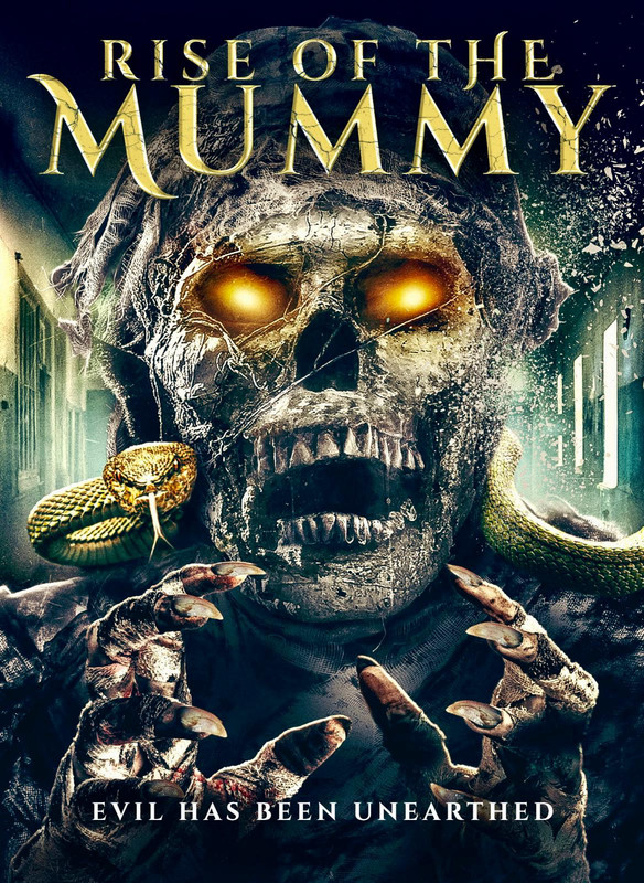 Download The Mummy Rebirth 2019 BluRay Dual Audio Hindi ORG 720p | 480p [280MB]