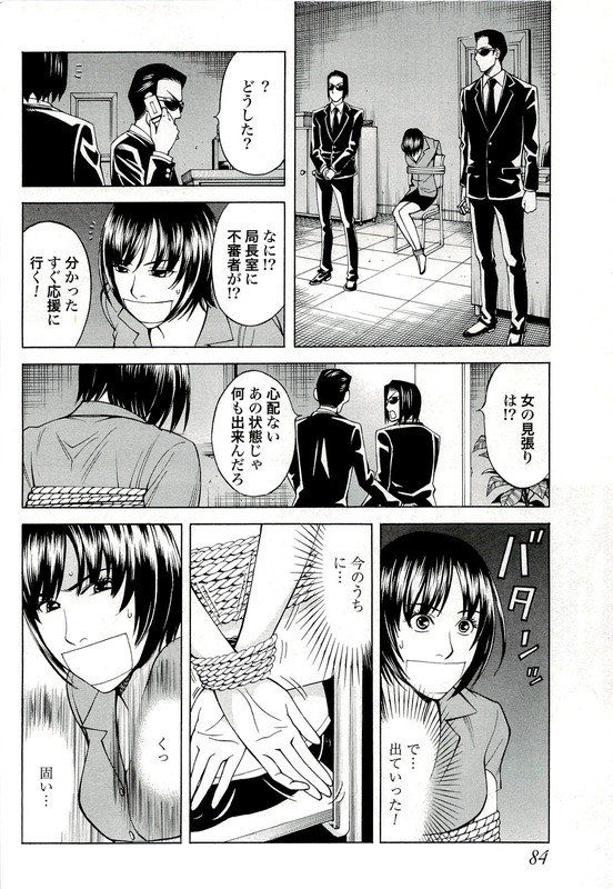 Cat's AiVol5-2