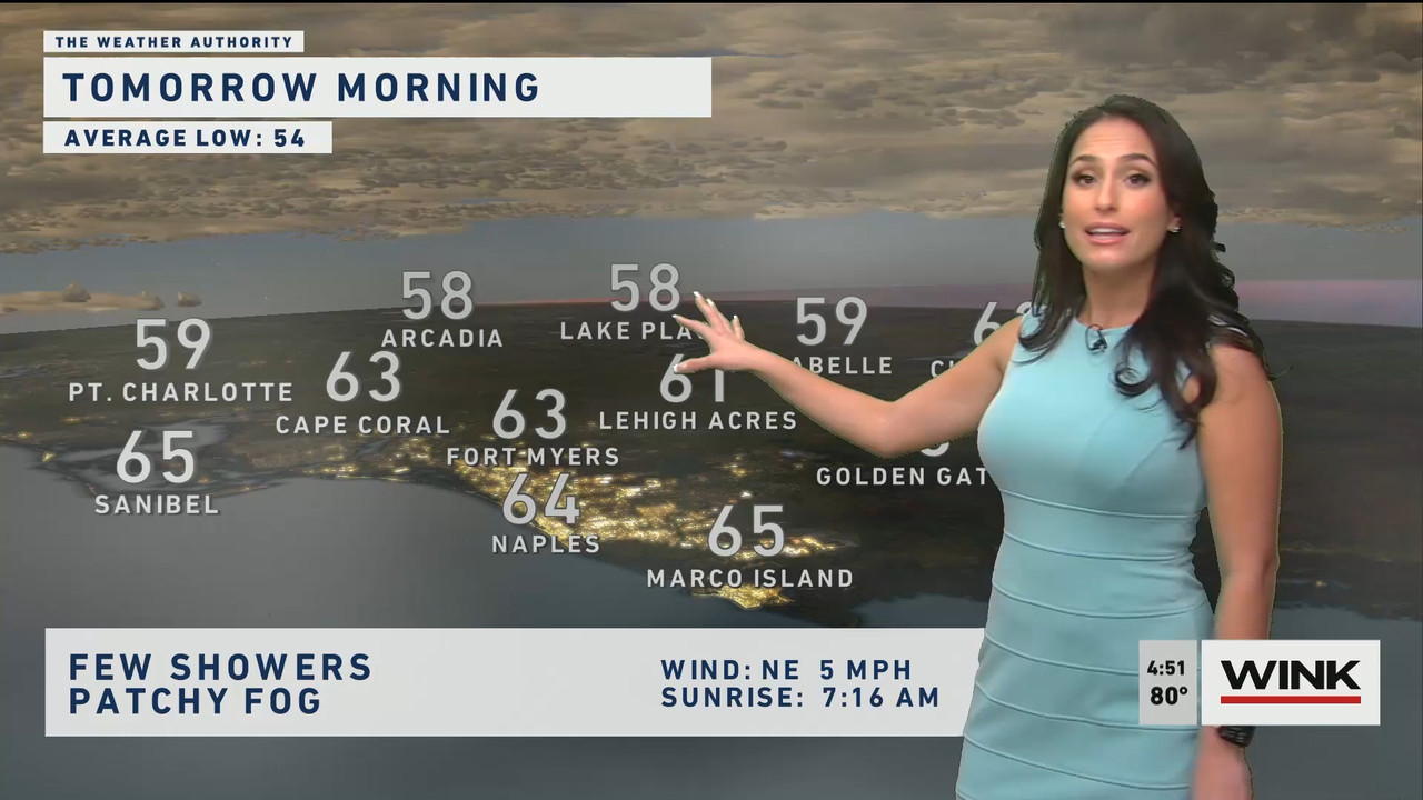 01.21 - 21.00.00 - WINK News at 4 00 p.m._001.ts_snapshot_06.15.143