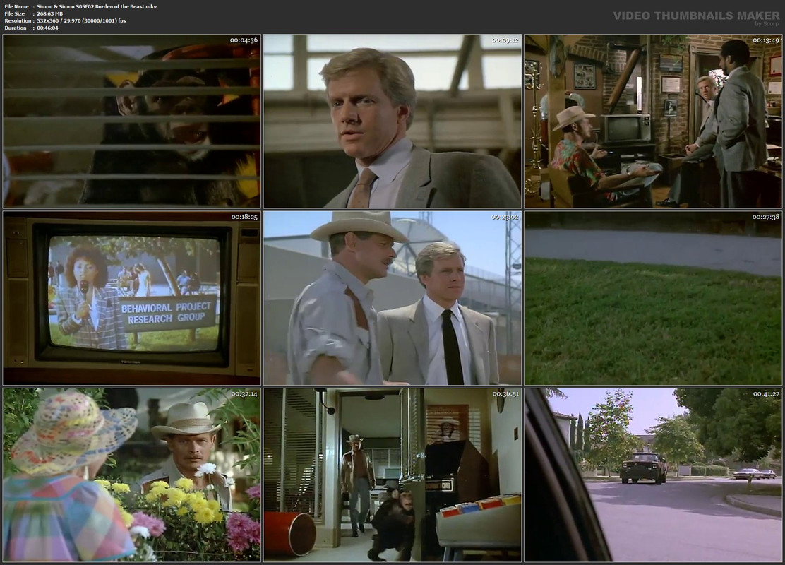 Simon & Simon S05E02 Burden of the Beast.mkv