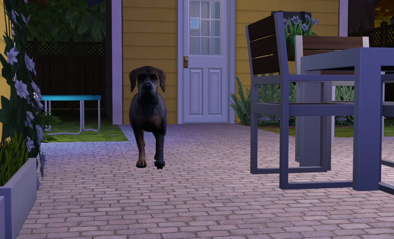 Sims2-EP9-2020-10-17-12-42-49-58