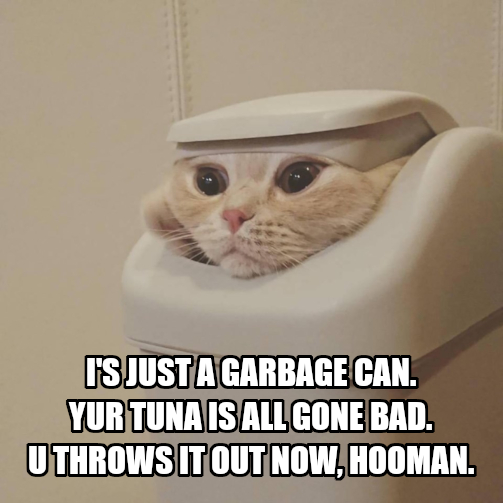 garbage-can-cat.jpg