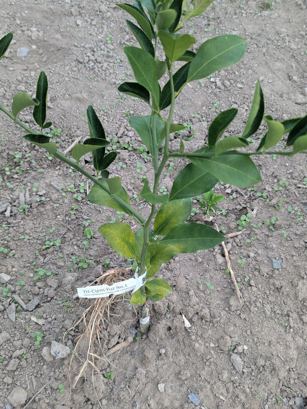 PXL_20250831_214031177