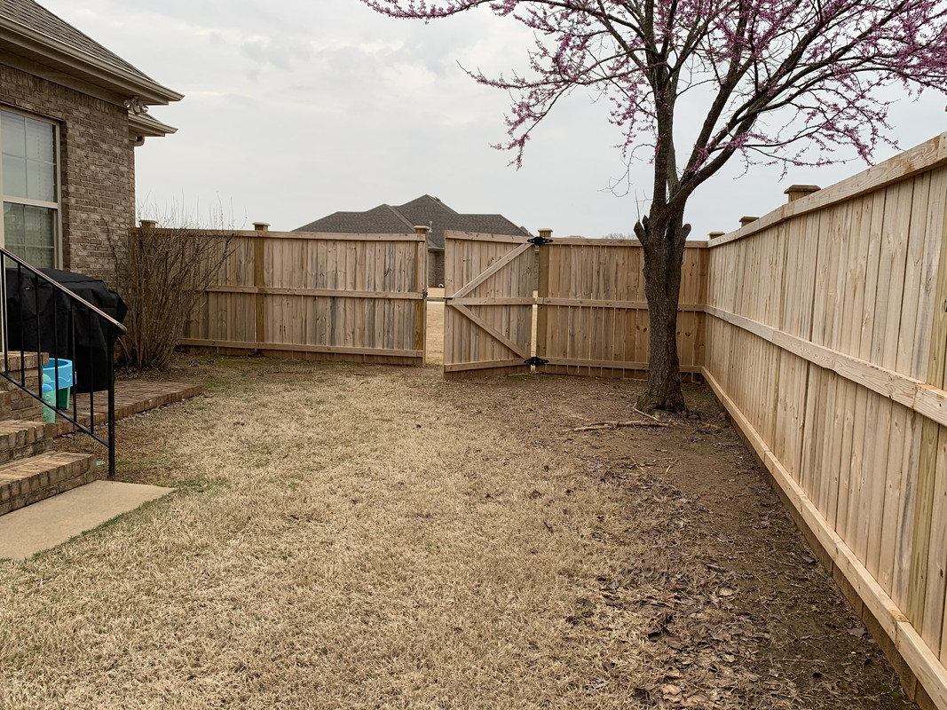 9C718ED8-63F1-4C51-9279-9493D4884667