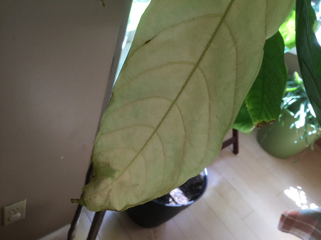 35936B82-EF43-4A36-943E-1BC2FB6BB0A7