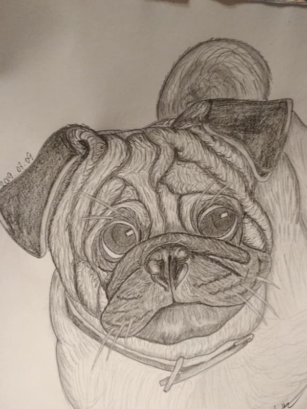 60933443_2265304133555805_1411676920365449216_n