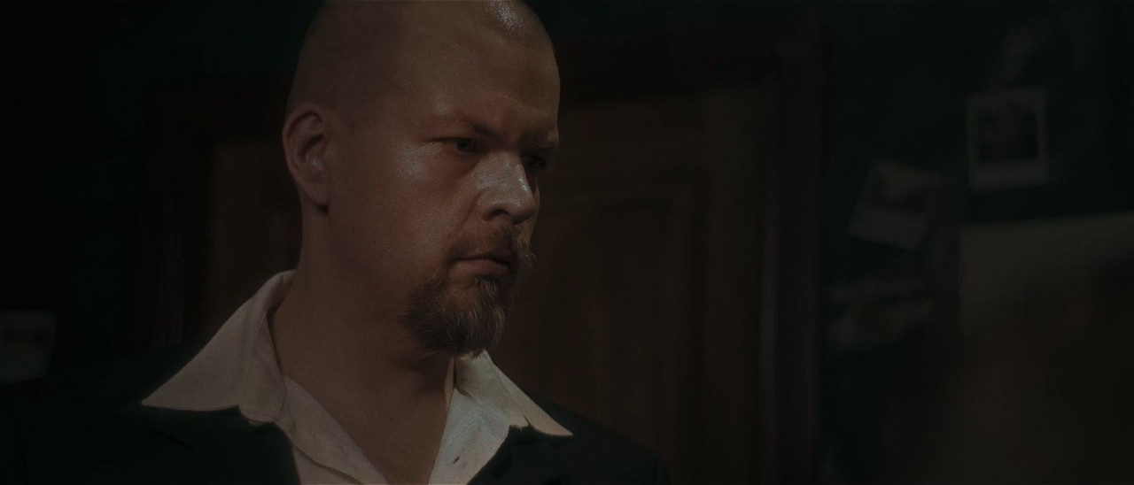 Carnage 2024 WebRip [Hindi + Tamil + Telugu + English] 480p, 720p ESub Screenshot