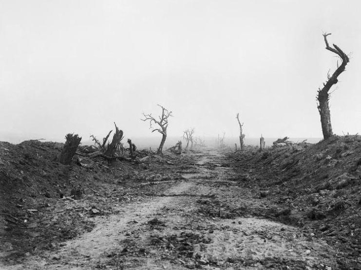 Gunner Munro's collection.  - Page 12 9ea52e33021b95c2f7146bc6a630d630-battle-of-the-somme-september