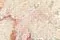 light rosa