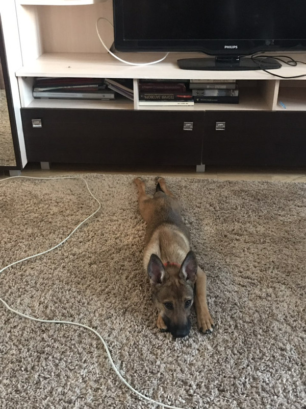 изображение_viber_2019-07-19_19-18-27