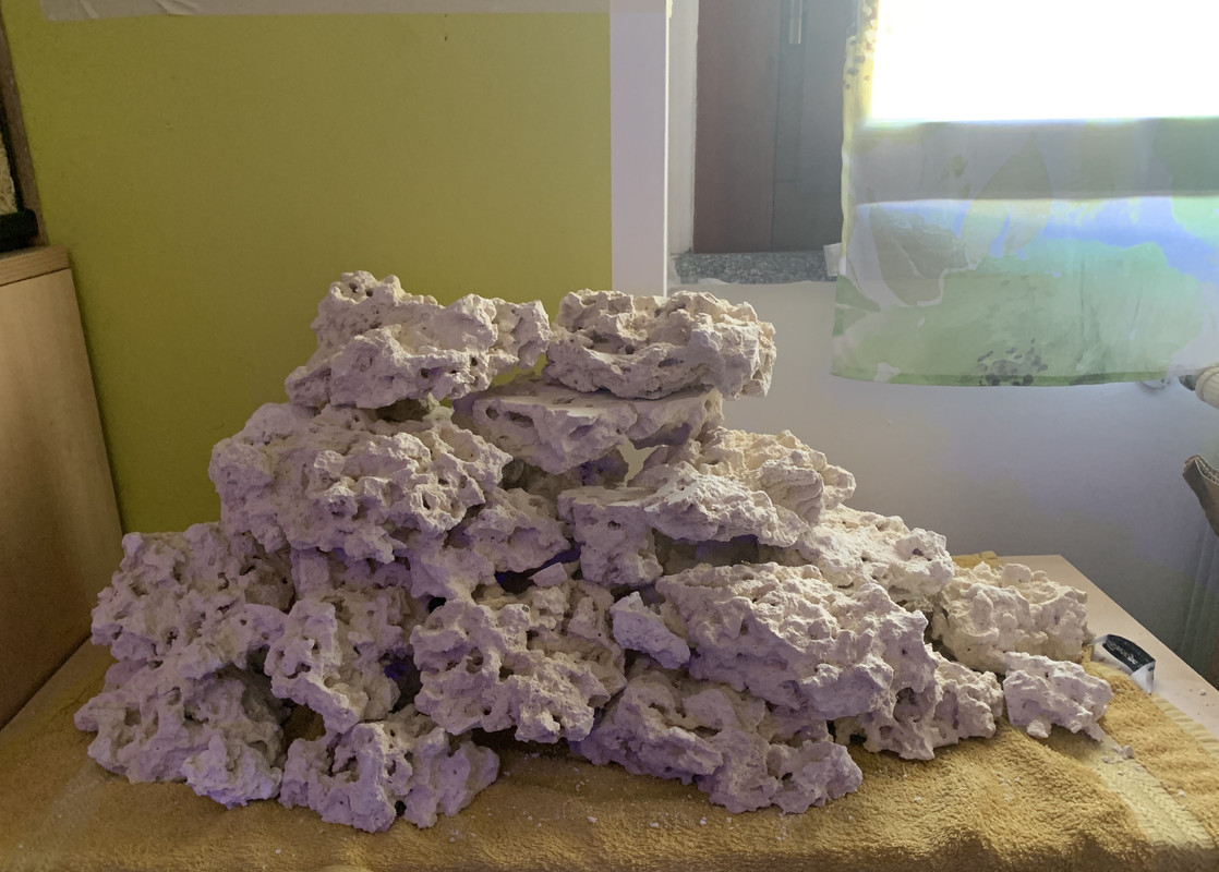 3DFE7537-8E67-4744-A8D0-7E4CC3D6009A