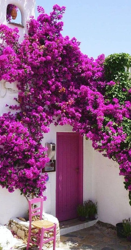 purple-entrance.jpg