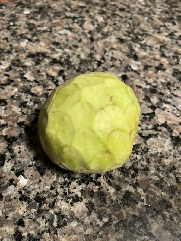 6CD07C4A-C6BA-4FD3-907C-321CA3D72443