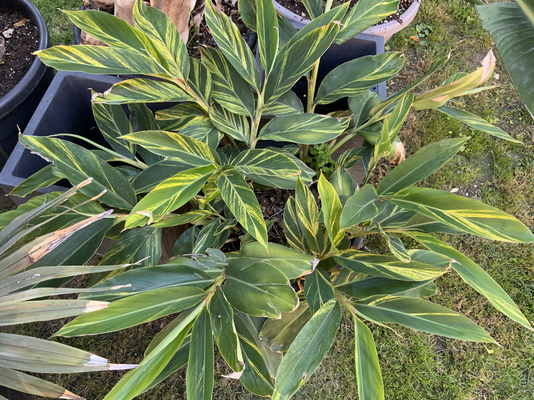 ABFC81D0-3925-40DC-BB99-DEAB8C74210A